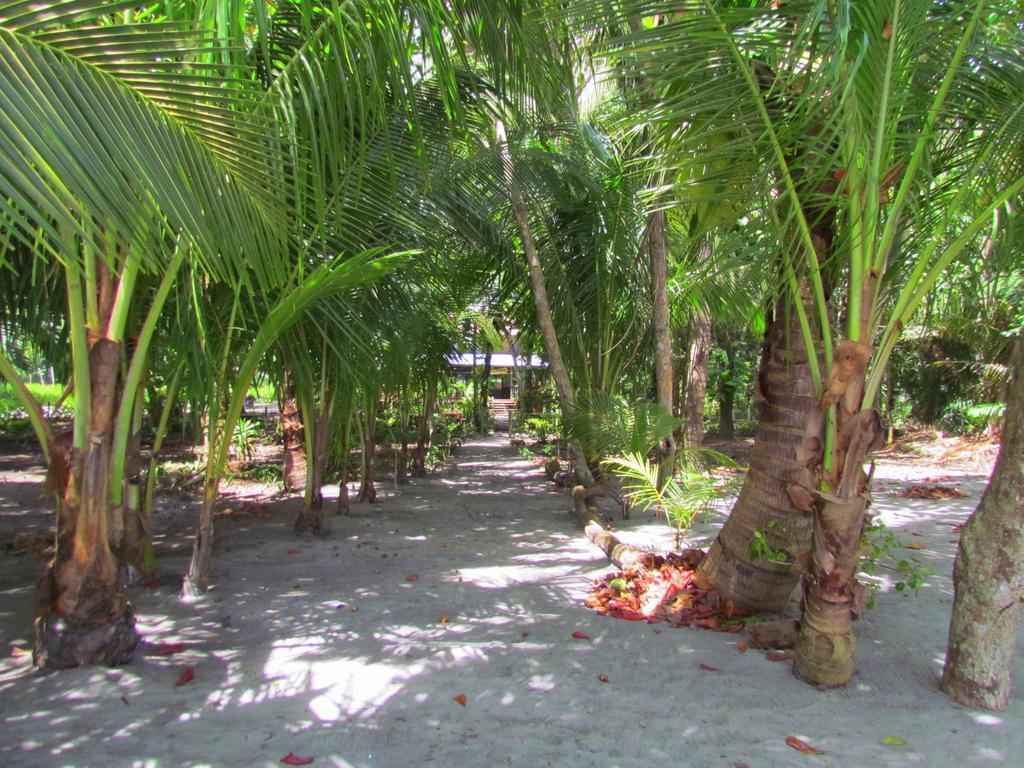 Hotel Kacha Front 2*