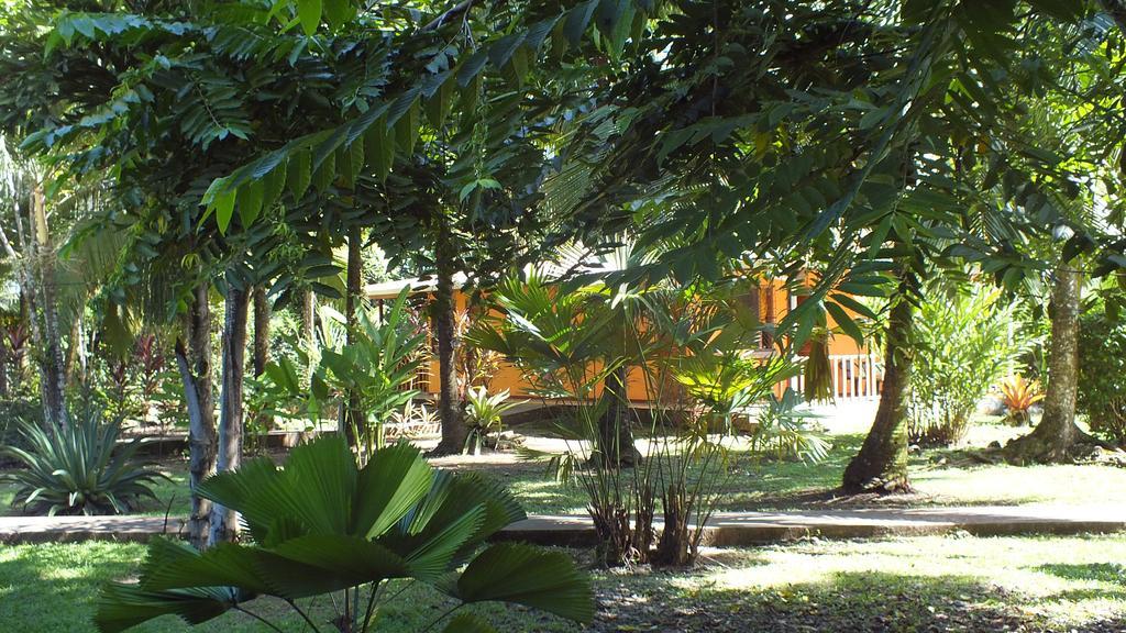Cabinas Caribe Luna Lodge Cahuita