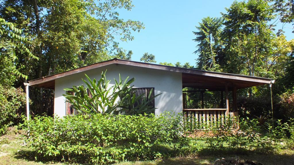 Cabinas Caribe Luna Lodge