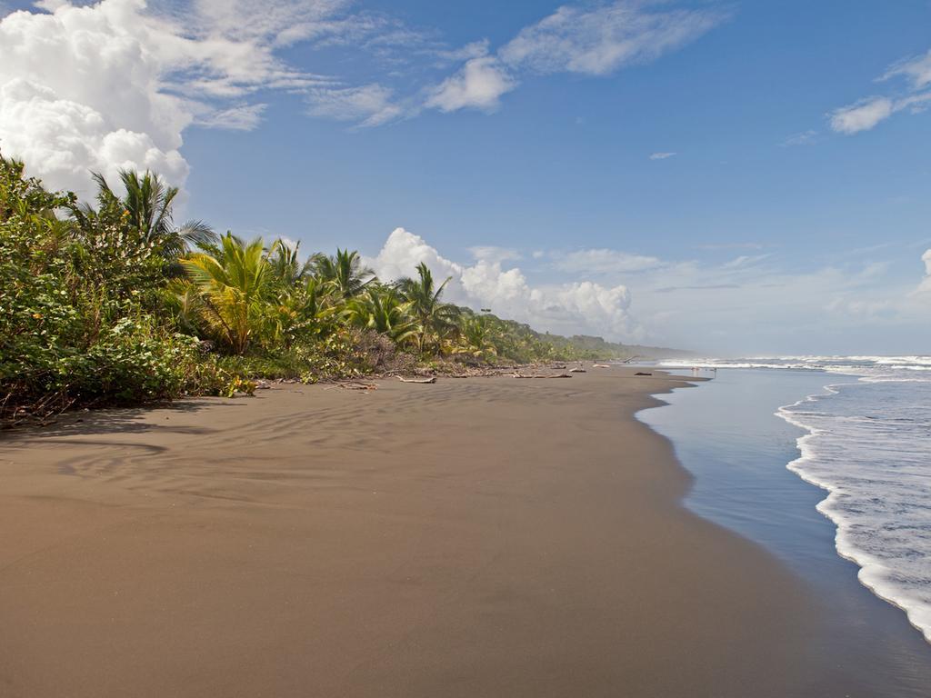 Caribbean Coconut Cahuita