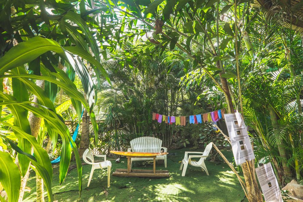 Hostel Pura Vida Tamarindo