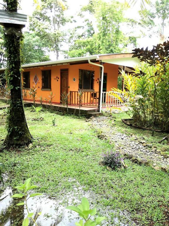 Cabinas Caribe Luna Cahuita