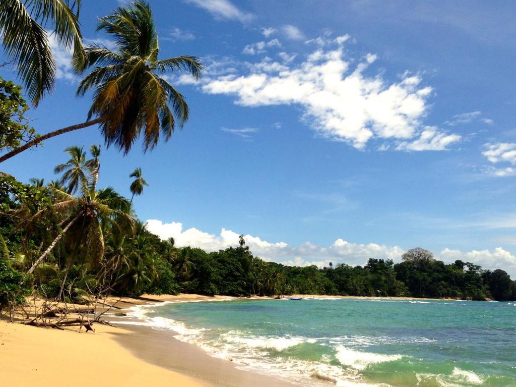 Physis Caribbean Hotel