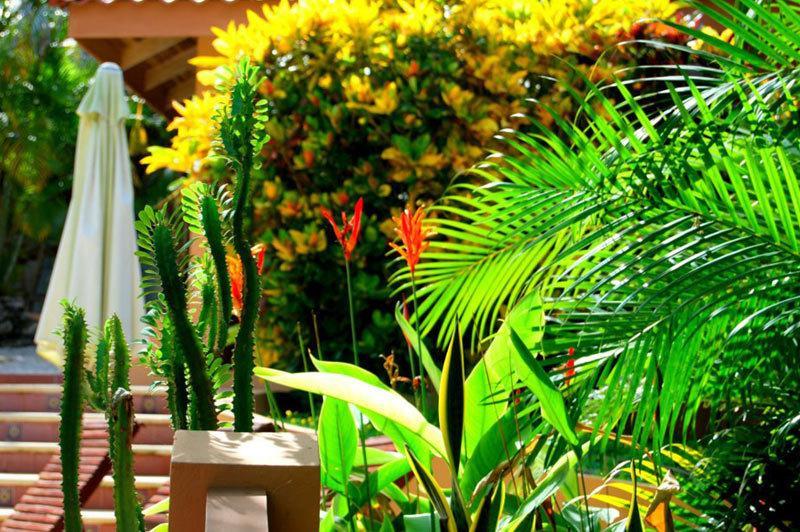 Hotel Ritmo Tropical 3*