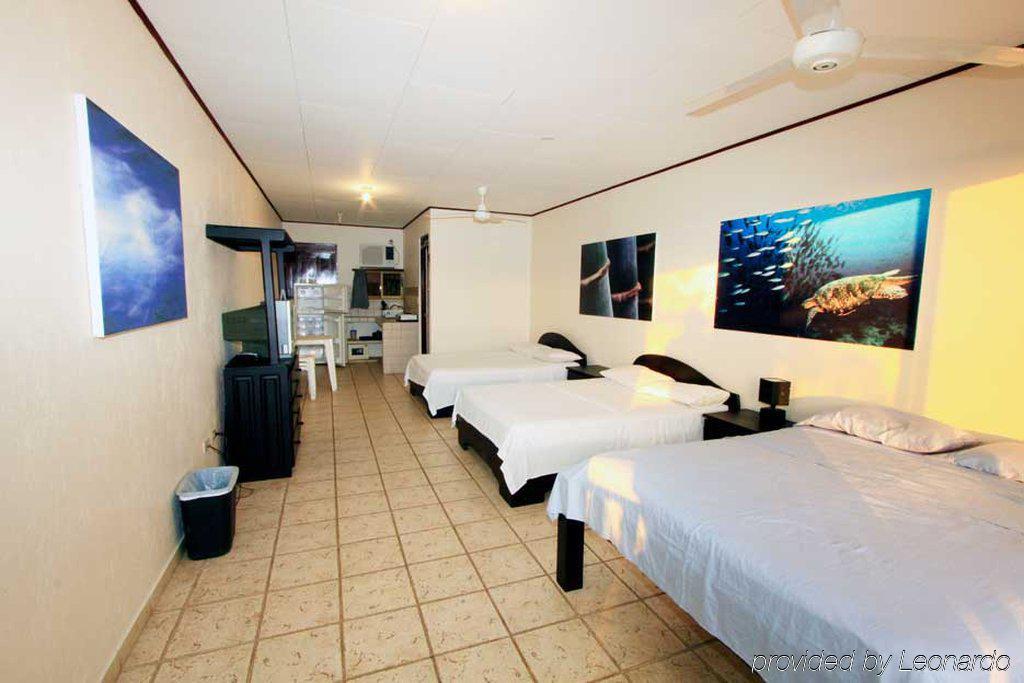 Hotel Blue Palm