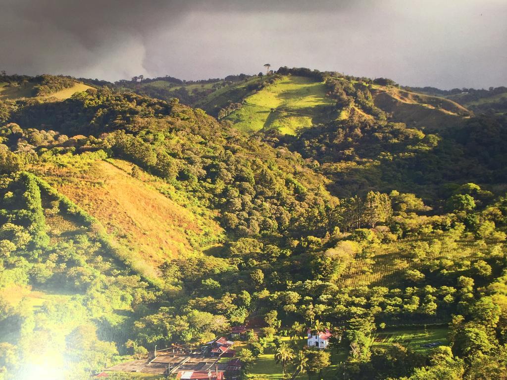 Guayabo Santa Cruz (Cartago)