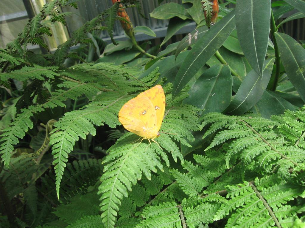 Holiday home Romantic Monteverde