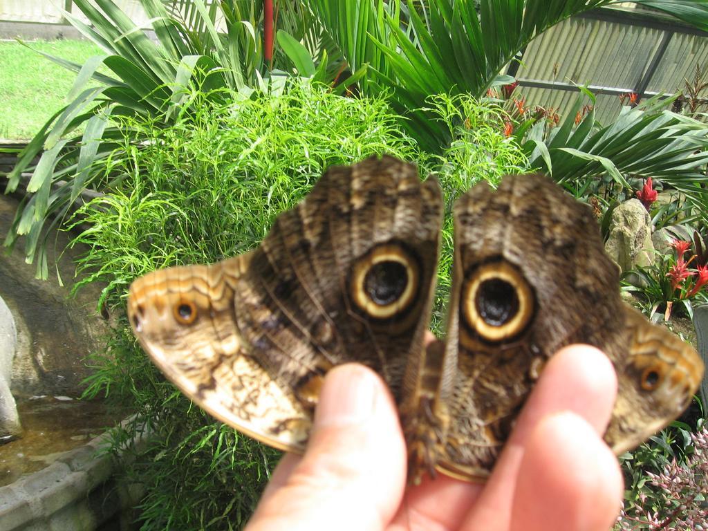 Romantic Holiday home Monteverde