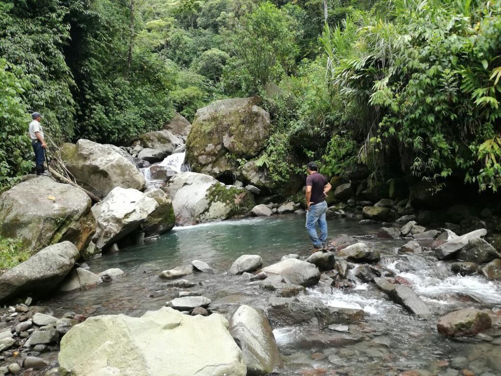 Guayabo Santa Cruz (Cartago)