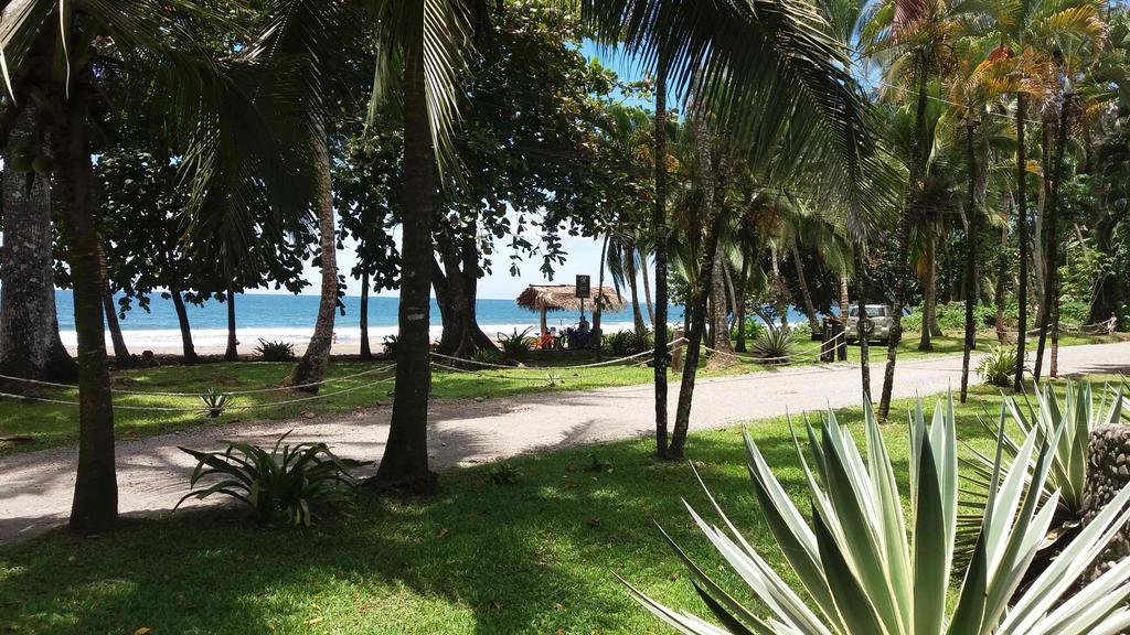 Perla Negra Beach Front 3* Puerto Viejo de Talamanca