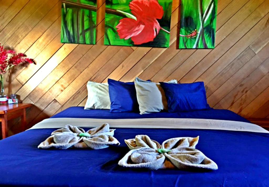 Casitas Joanna