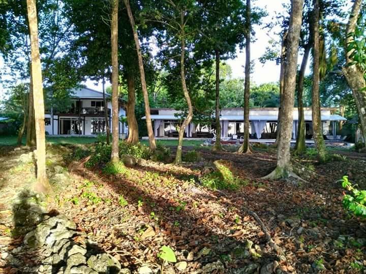 Guest house Cahuita Inn 3*