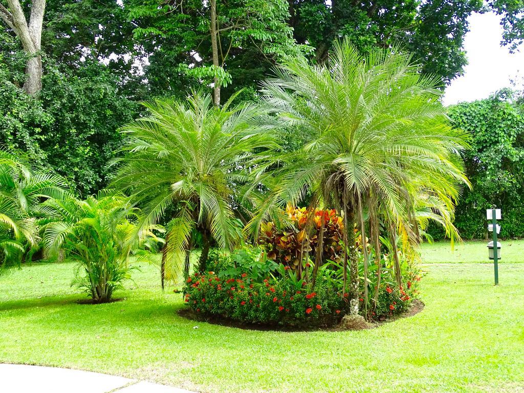 Jaco Beach Condos 3*