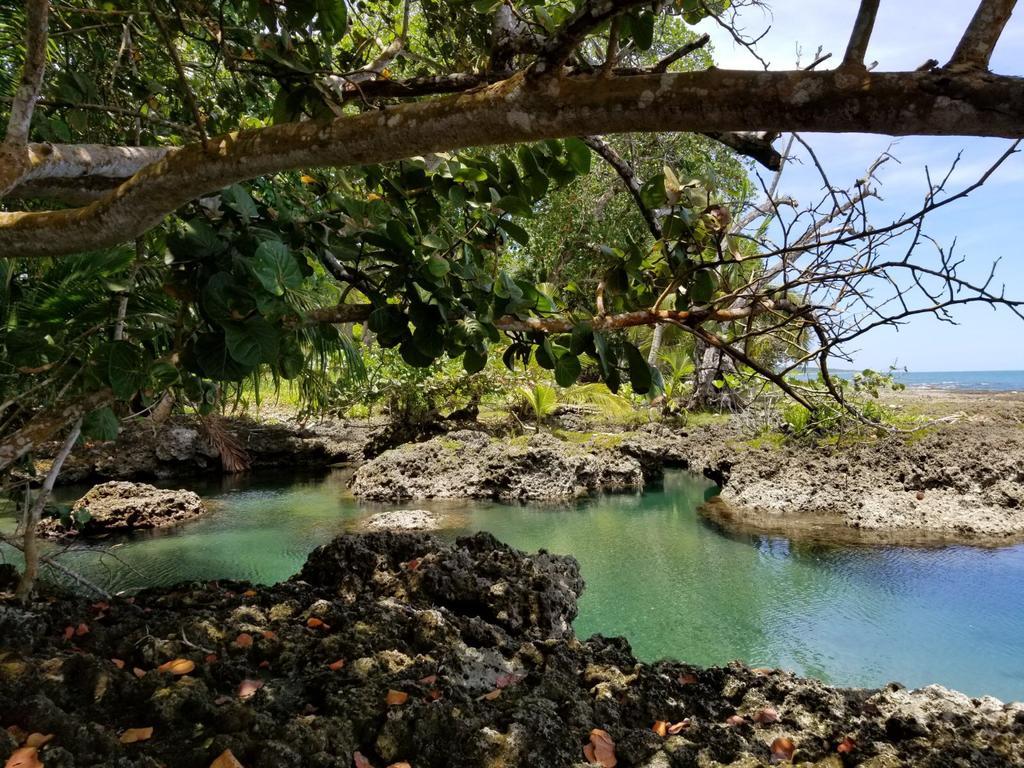 Hotel Piscina Natural On The Sea *