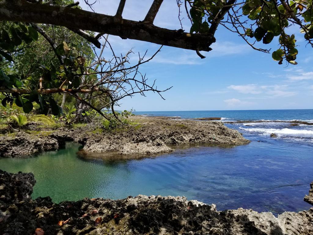 Piscina Natural On The Sea Hotel *