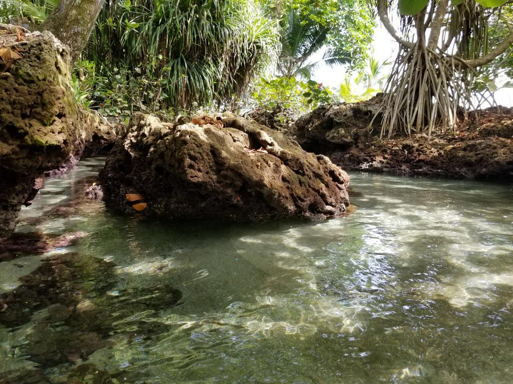 Piscina Natural On The Sea *