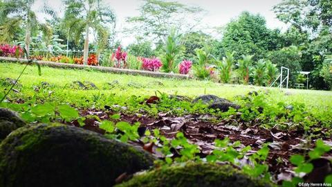 Colores Del Arenal Hotel