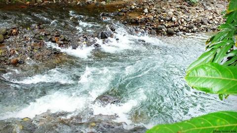 Colores Del Arenal La Fortuna