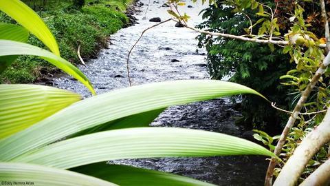 Colores Del Arenal 2* La Fortuna