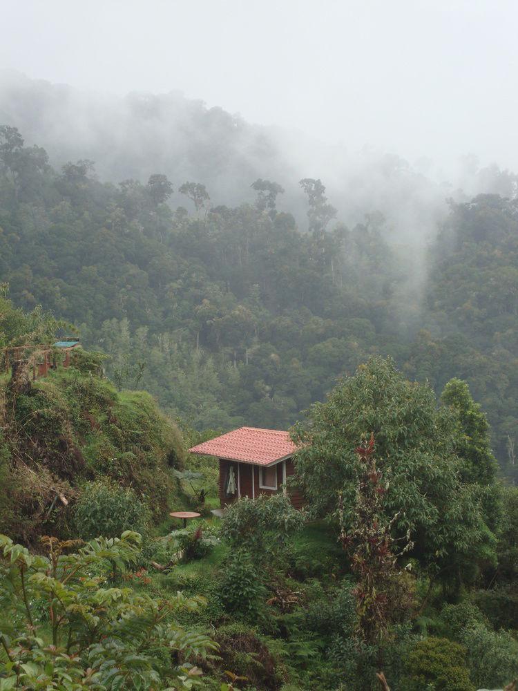 Paraiso Quetzal Lodge Tres de Junio