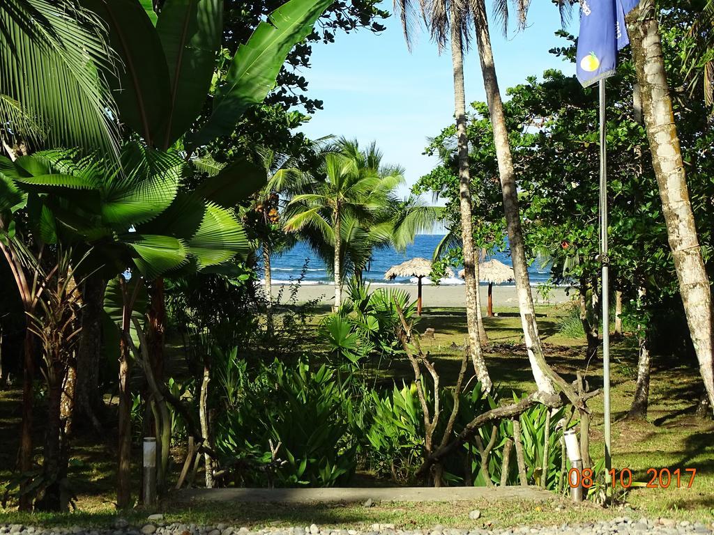 Caribbean Coconut 2* Cahuita