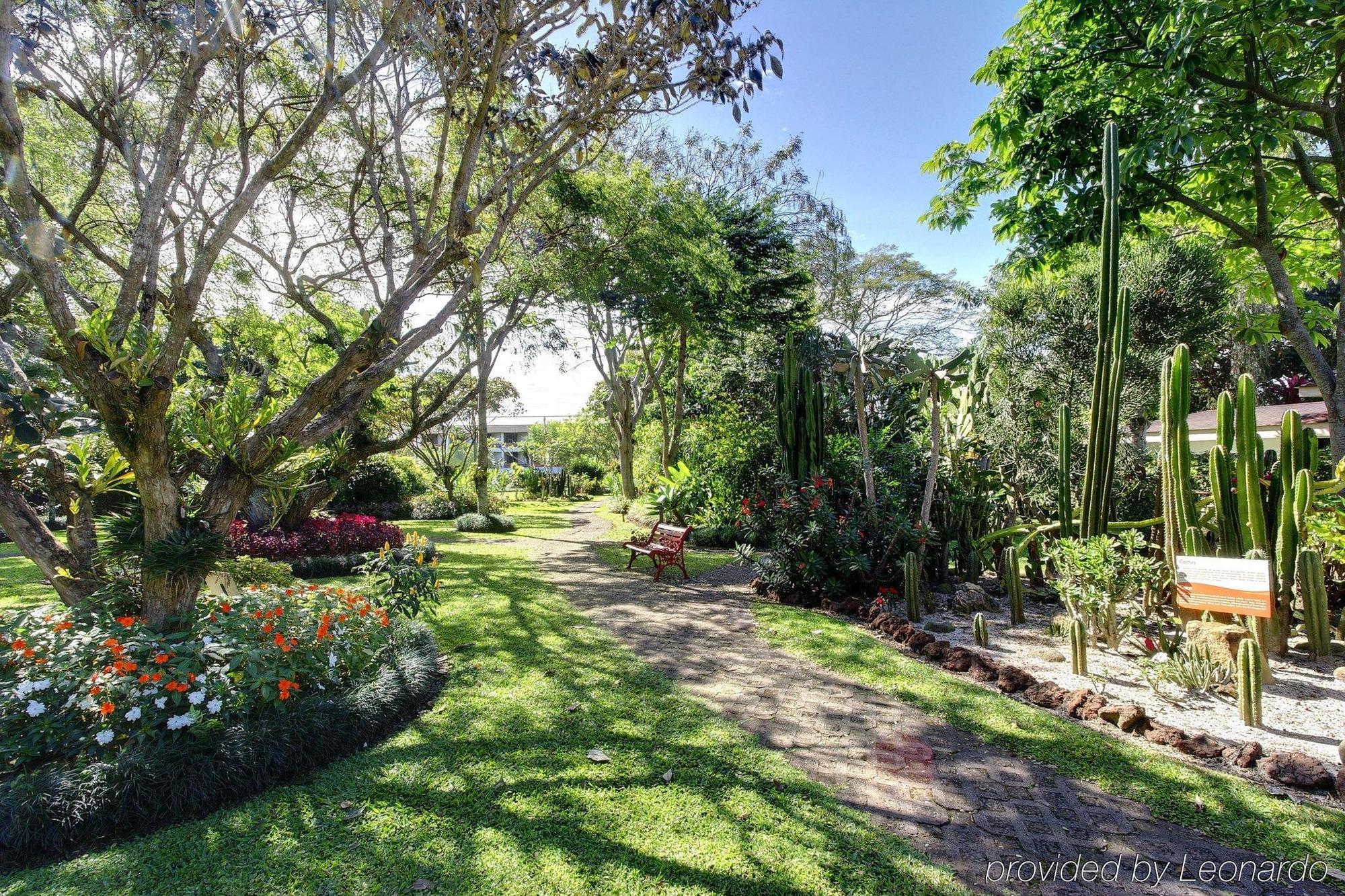 Hotel Bougainvillea San Jose 4*
