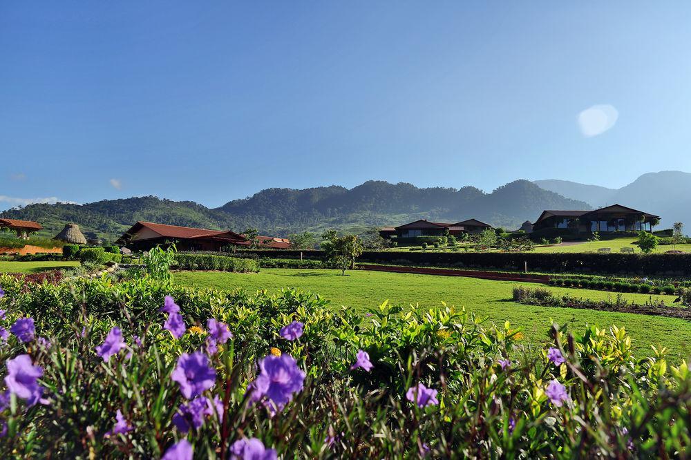 Hacienda Altagracia, Collection Resort