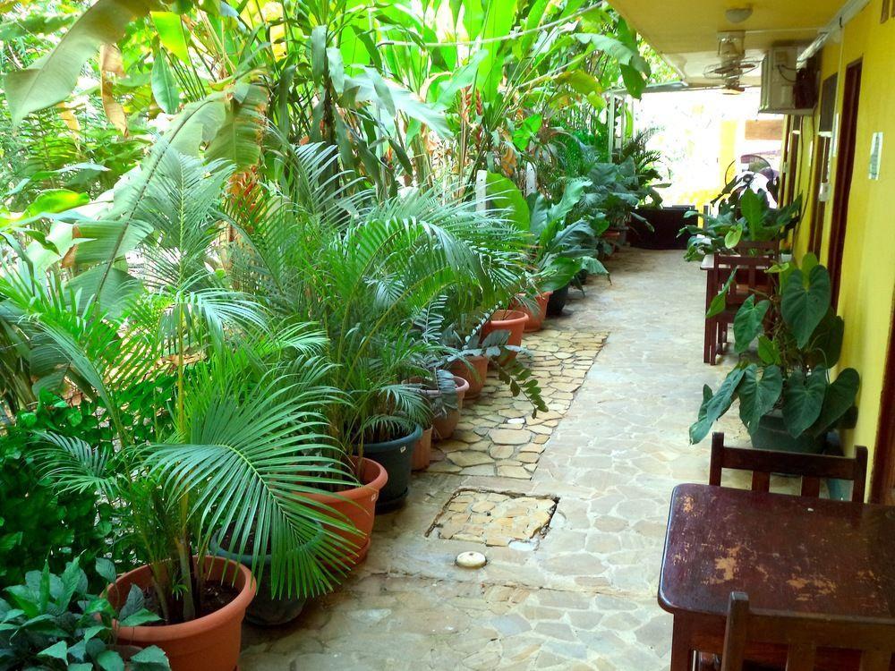 Lodge Hotel Aurora Montezuma