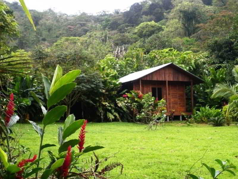 Cataratas Lodge, Incluye Tour Autoguiado Waterfalls Hike