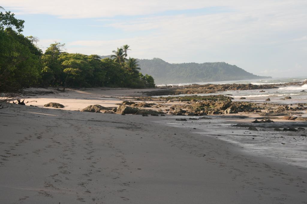 Funky Monkey 3* Playa Santa Teresa (Puntarenas)