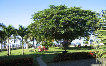 Aparthotel Apartotel Girasol