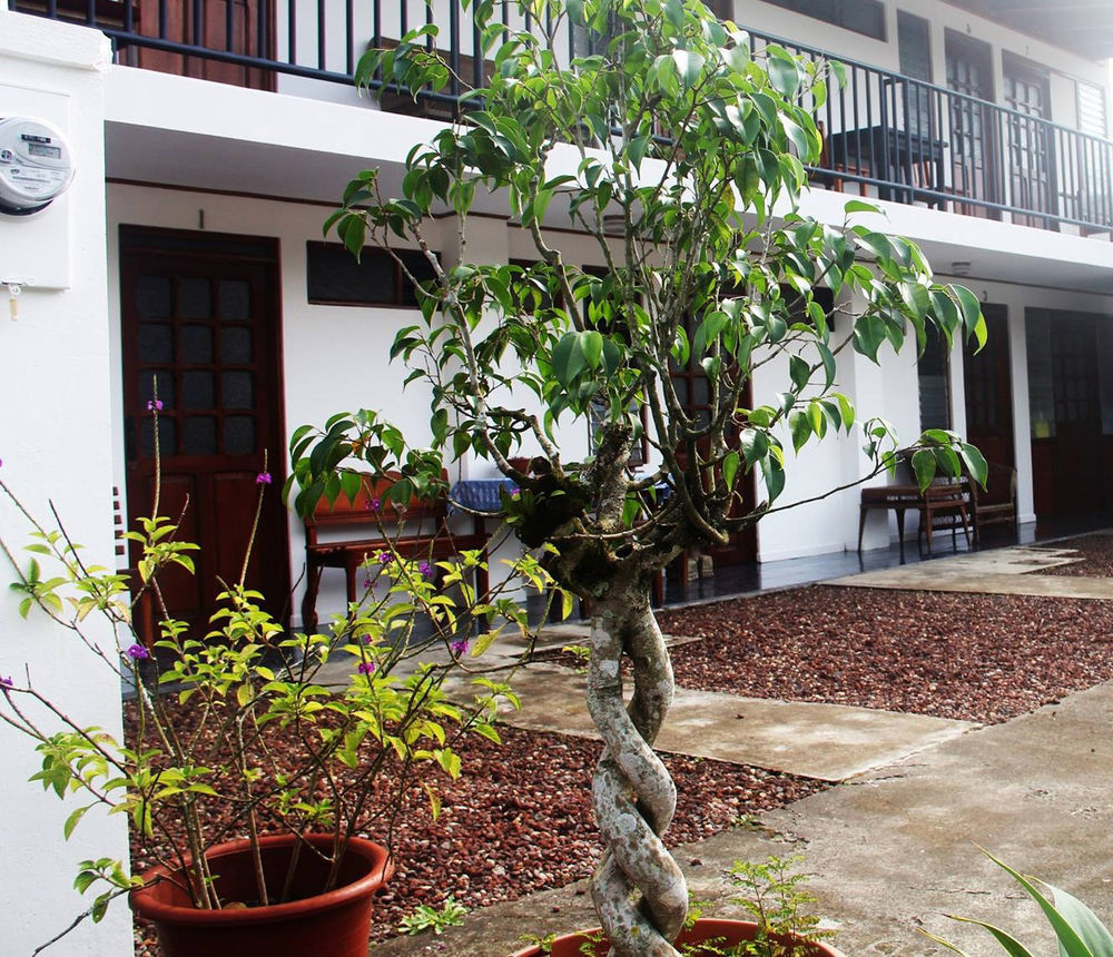 Guest house Reventazon Orosi