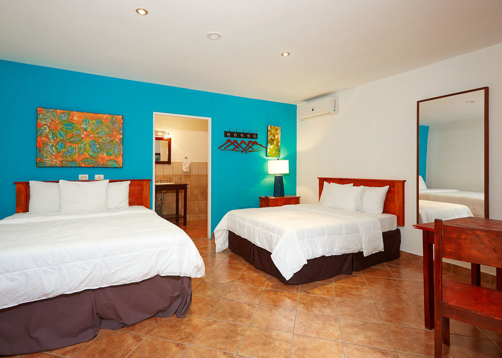 Hotel Rip Jack 3*
