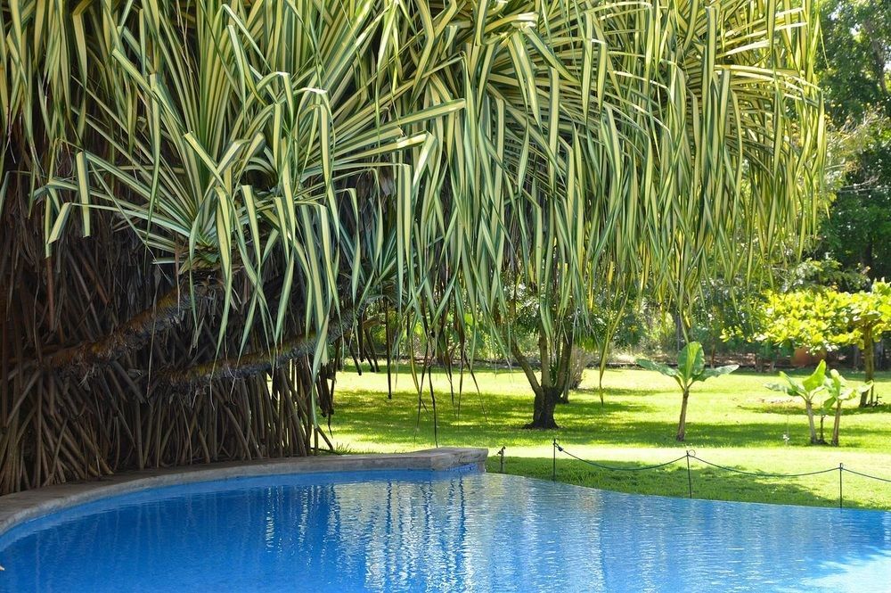 Bed & Breakfast Hacienda Jj 3*