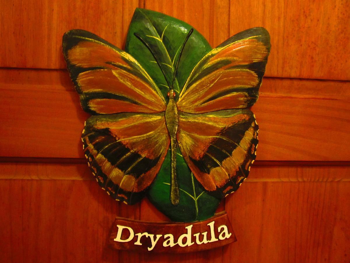 Bed & Breakfast El Mariposario Gardens Montezuma