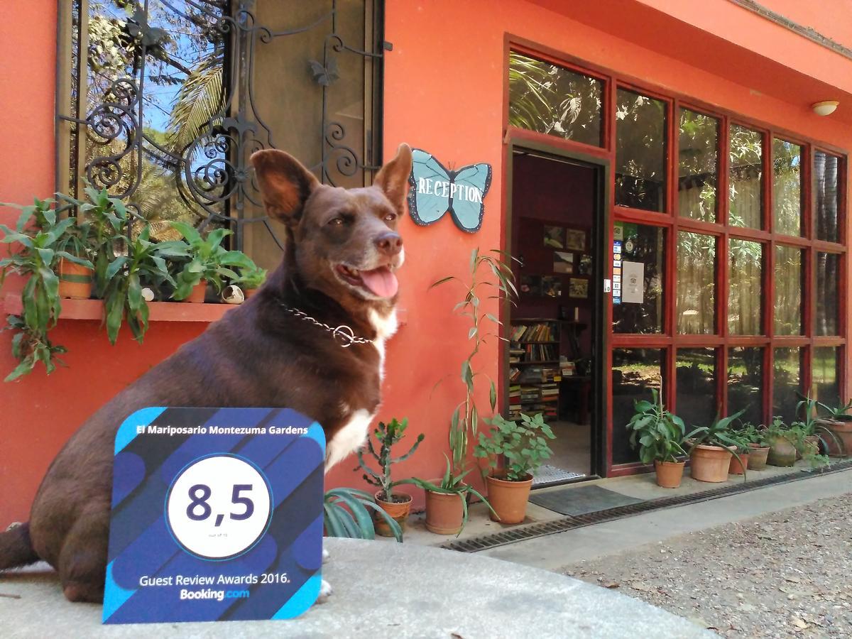 Bed & Breakfast El Mariposario Gardens