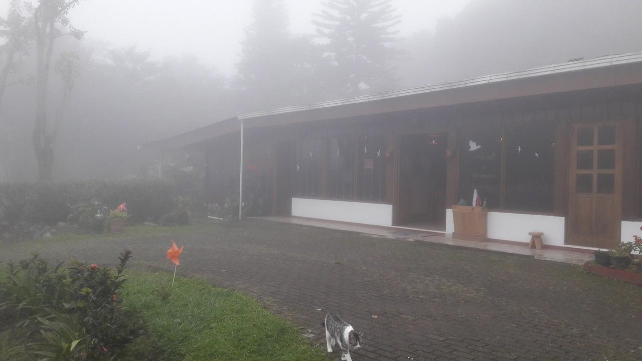 Holistico Hotel Monteverde
