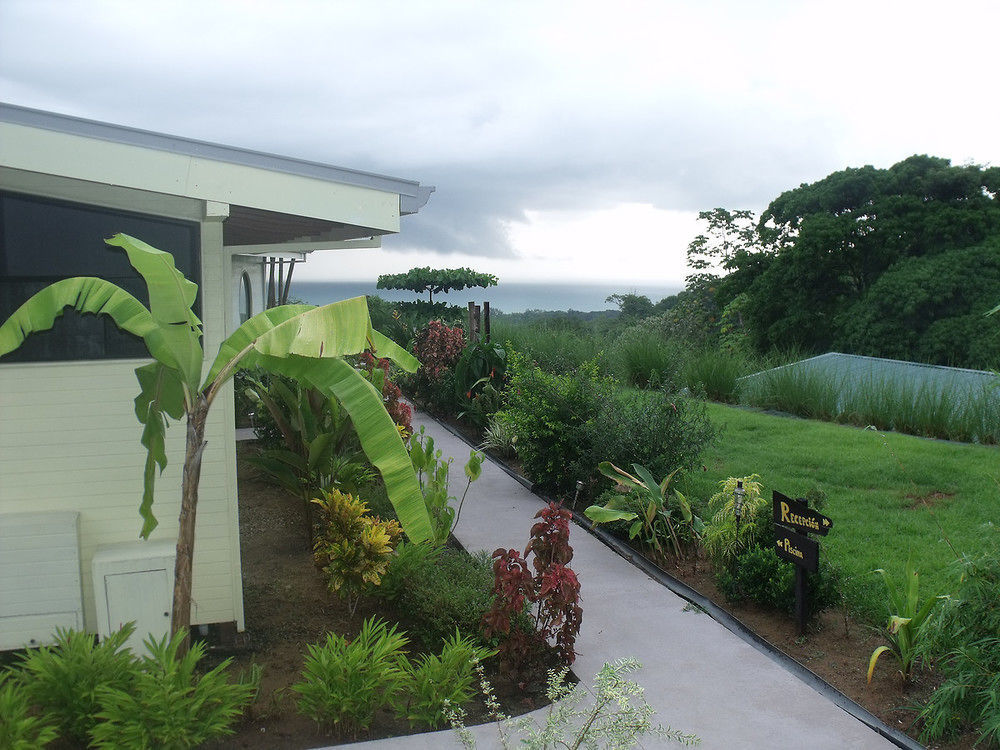 Eden Tica Bed & Breakfast
