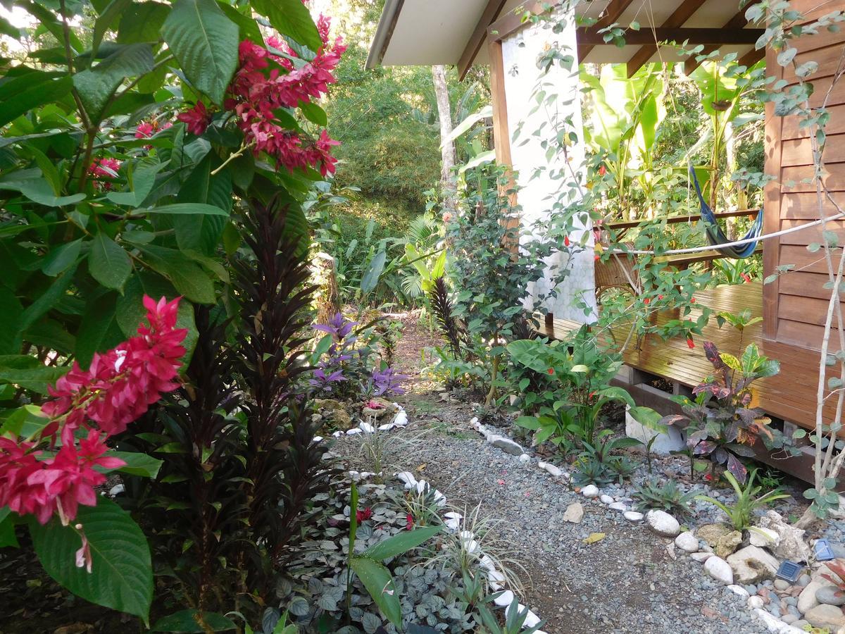 Casa Lina Sloth View Exotic With Privat Kitchen * Puerto Viejo de Talamanca