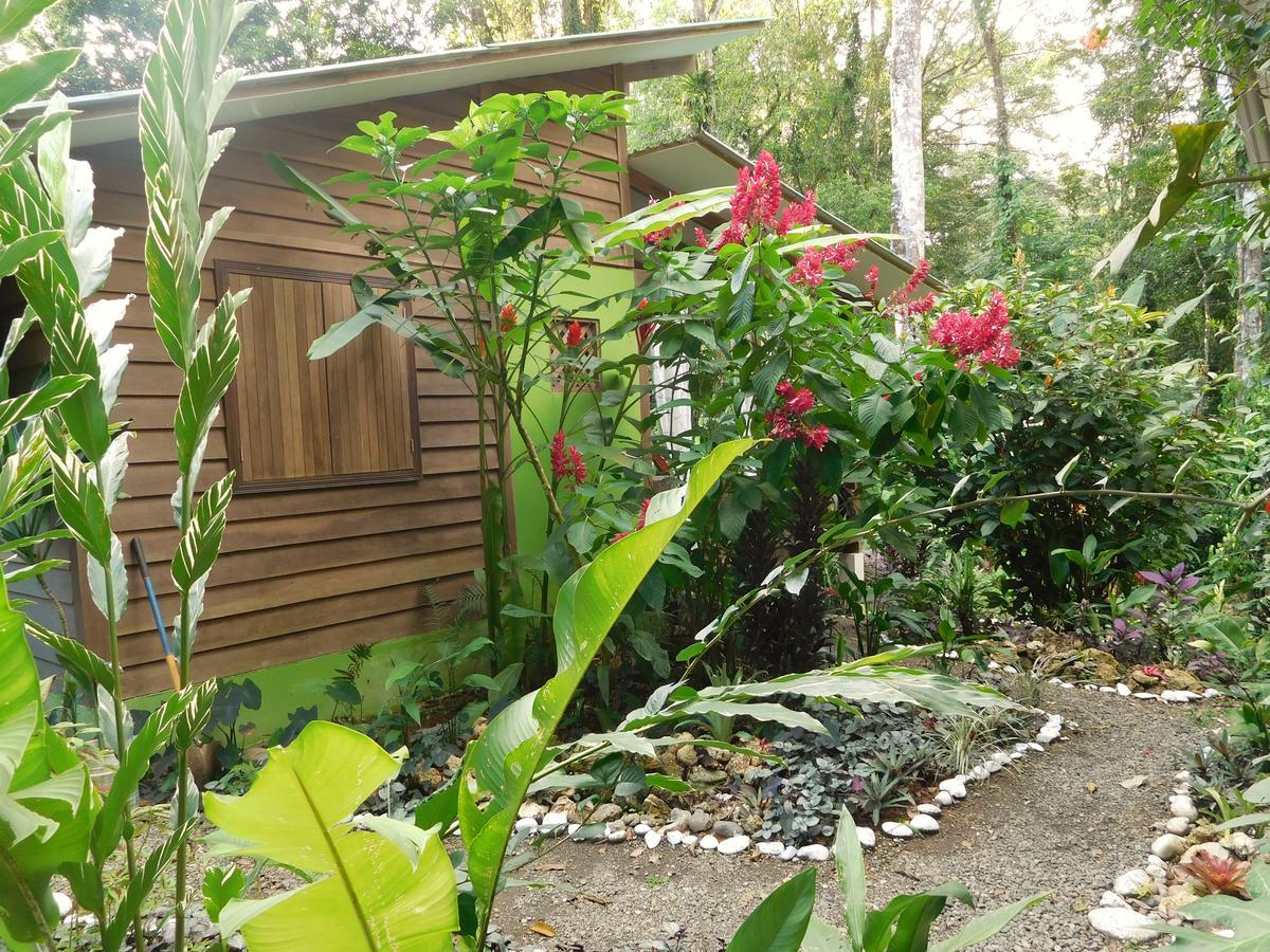 Apartment Casa Lina Sloth View Exotic With Privat Kitchen Puerto Viejo de Talamanca