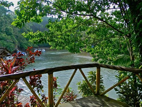 Hotel Aguila De Osa Rainforest