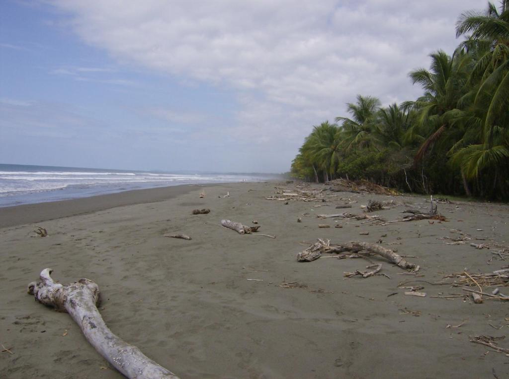La Palapa Portalon