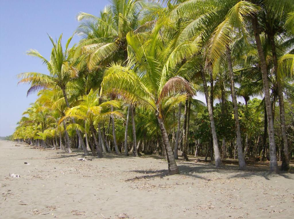 Hotel La Palapa Portalon
