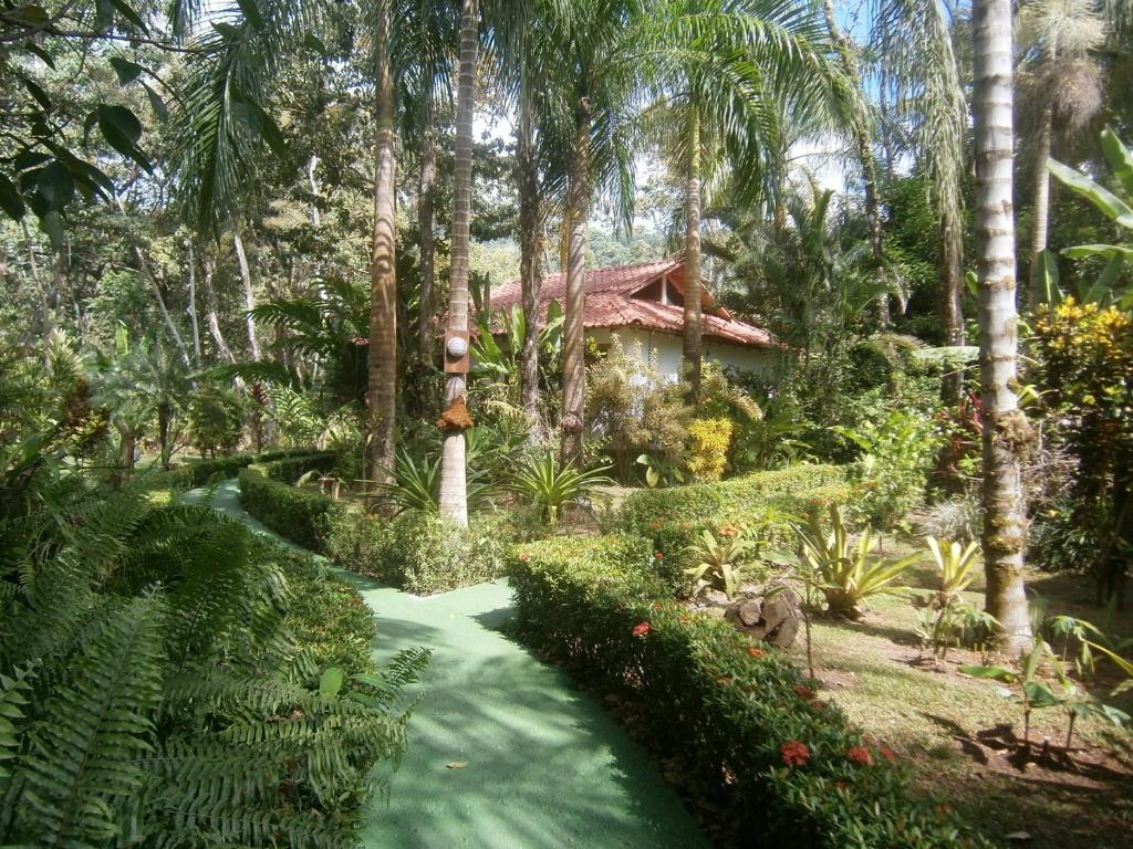 La Palapa 4*