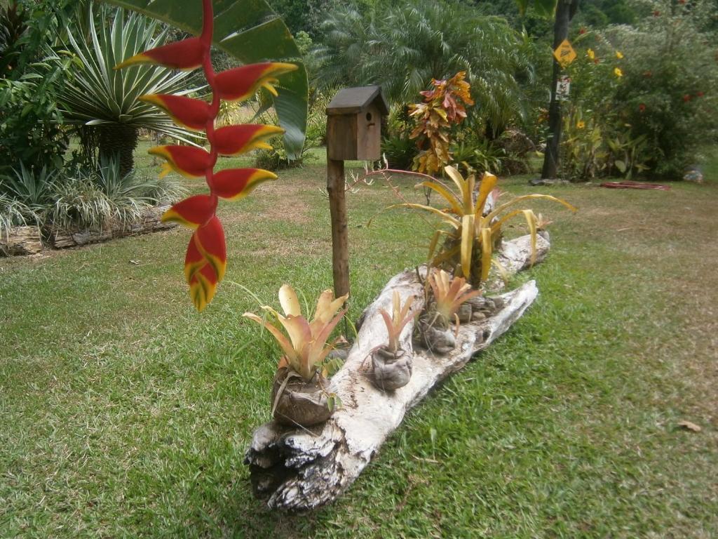 La Palapa Hotel