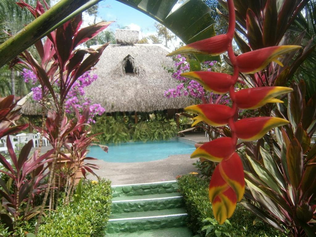 La Palapa
