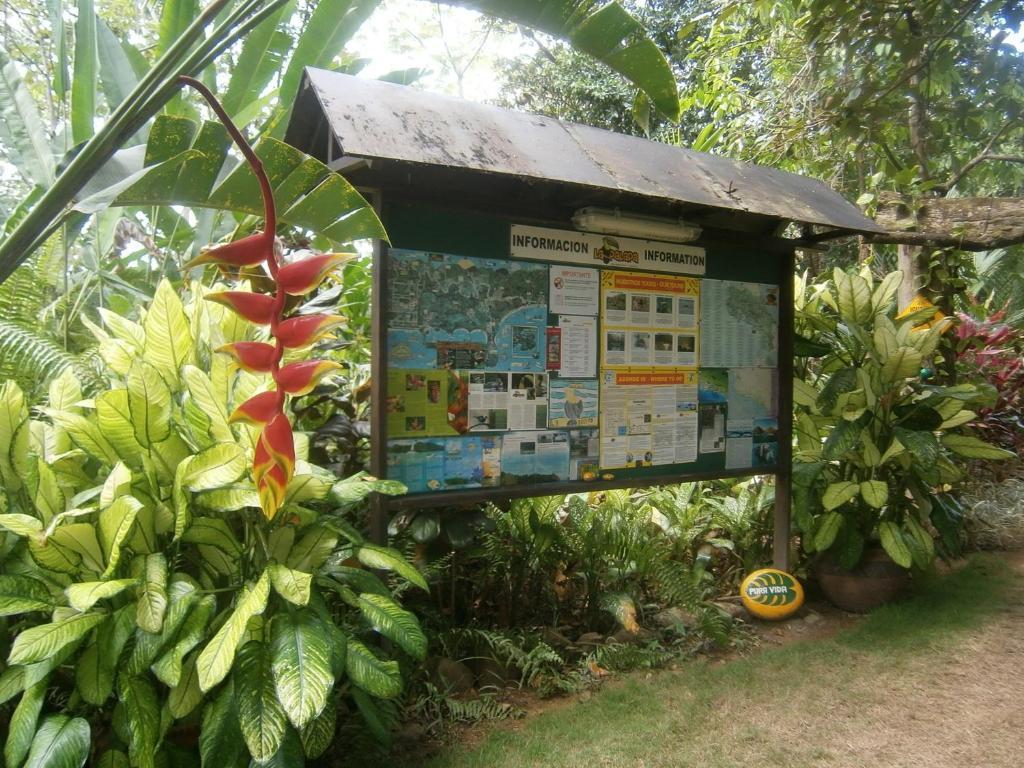 Hotel La Palapa