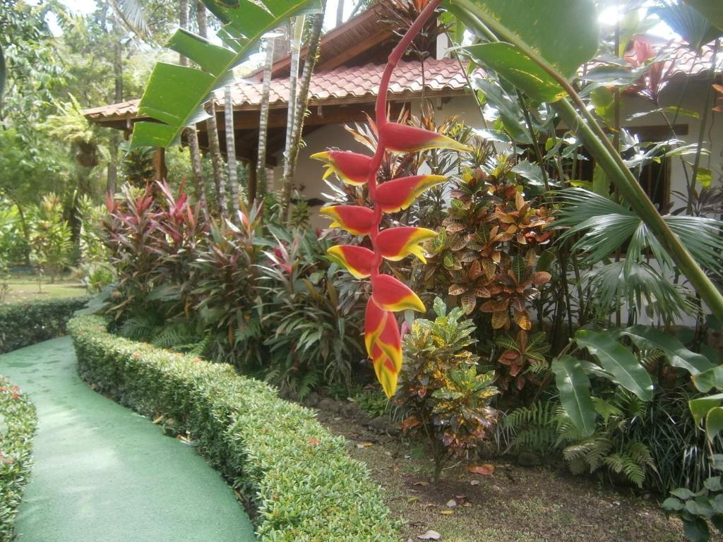 La Palapa Hotel