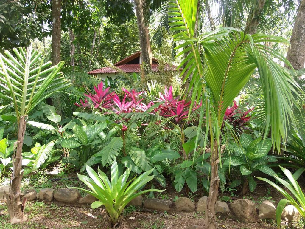 La Palapa Hotel Portalon