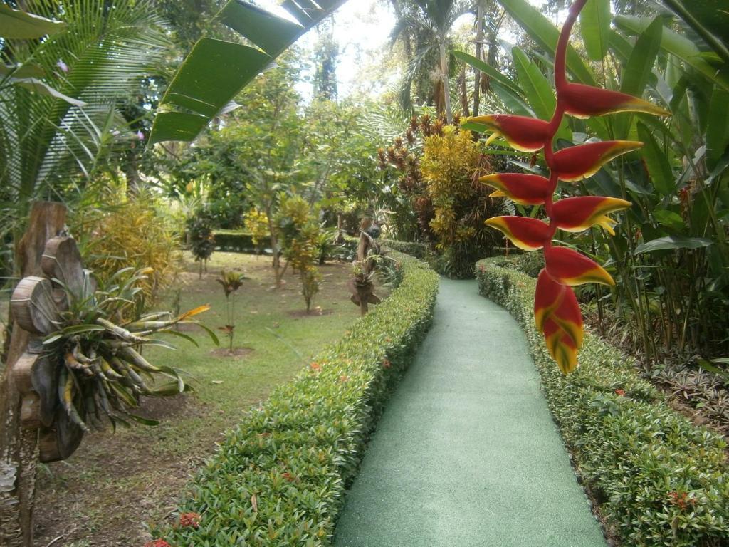 La Palapa Hotel Portalon